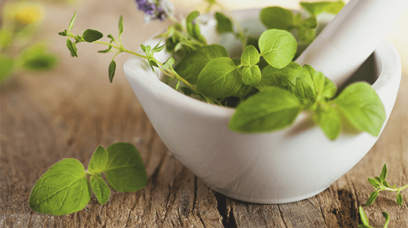 Herbes pour augmenter la puissance